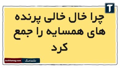 چرا خال خالی پرنده های همسایه را جمع کرد
