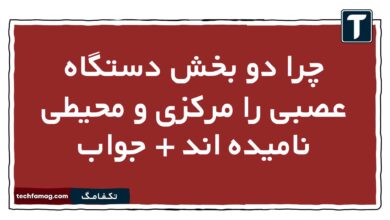 چرا دو بخش دستگاه عصبی را مرکزی و محیطی نامیده اند + جواب
