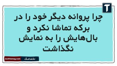چرا پروانه دیگر خود را در برکه تماشا نکرد و بال‌هایش را به نمایش نگذاشت