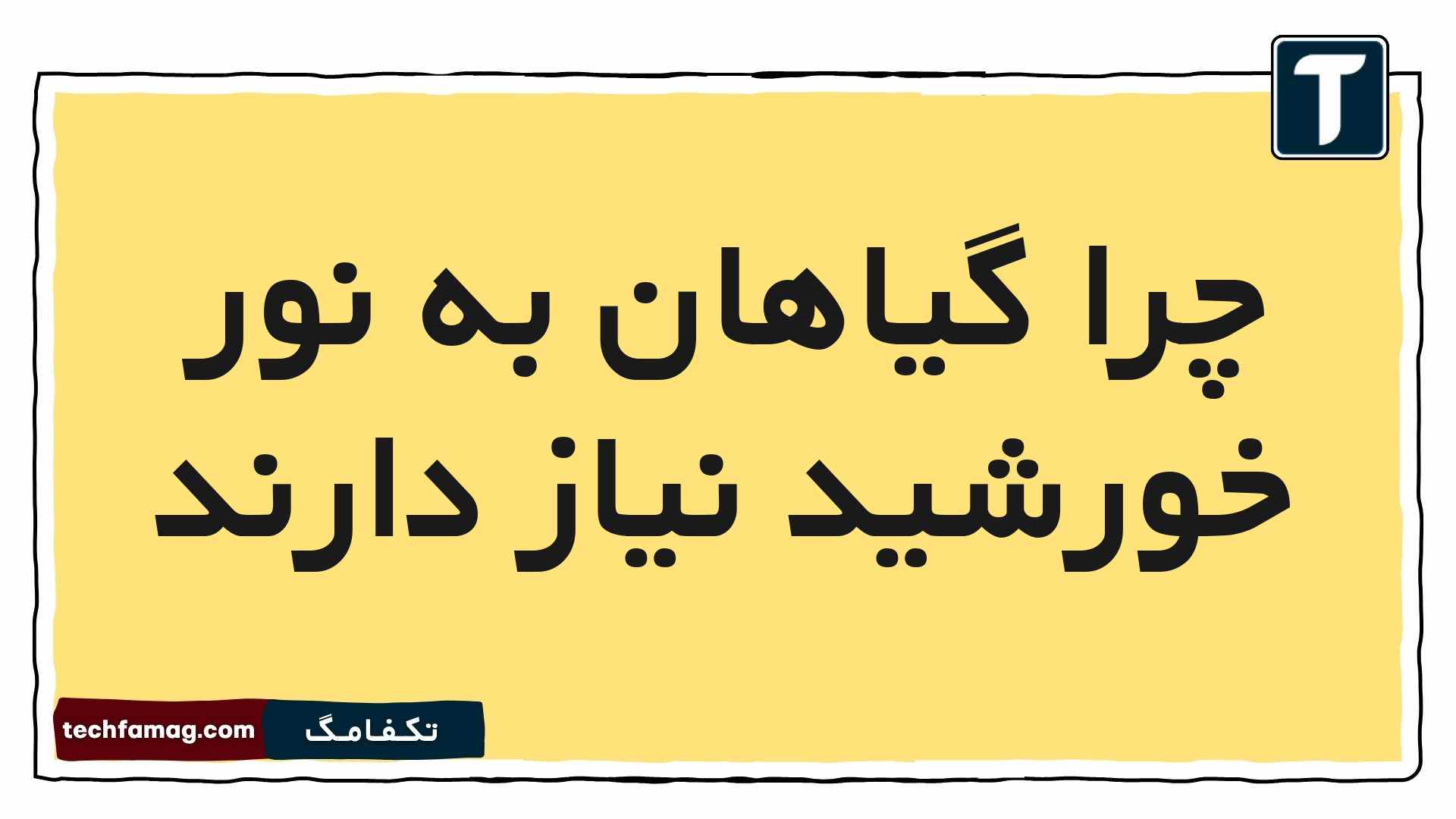 چرا گیاهان به نور خورشید نیاز دارند