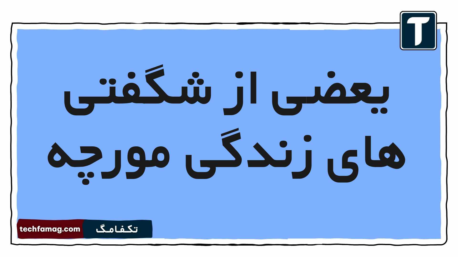 یعضی از شگفتی های زندگی مورچه فارسی هشتم