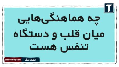 چه هماهنگی‌هایی میان قلب و دستگاه تنفس هست
