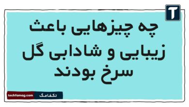 چه چیزهایی باعث زیبایی و شادابی گل سرخ بودند [مشاهده پاسخ]