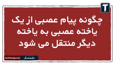 چگونه پیام عصبی از یک یاخته عصبی به یاخته دیگر منتقل می شود زیست یازدهم
