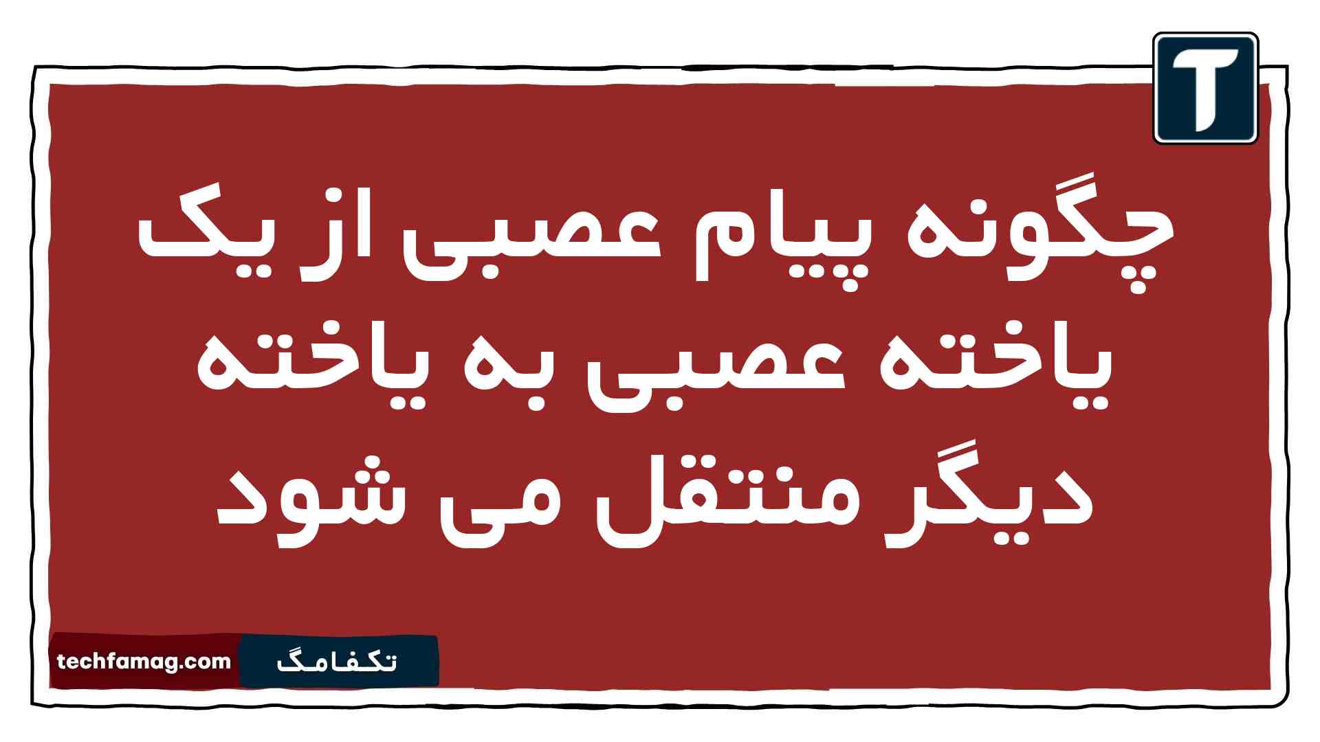 چگونه پیام عصبی از یک یاخته عصبی به یاخته دیگر منتقل می شود زیست یازدهم