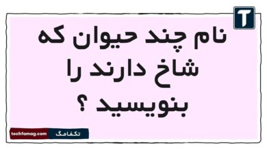نام چند حیوان که شاخ دارند را بنویسید