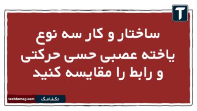 ساختار و کار سه نوع یاخته عصبی حسی حرکتی و رابط را مقایسه کنید زیست یازدهم