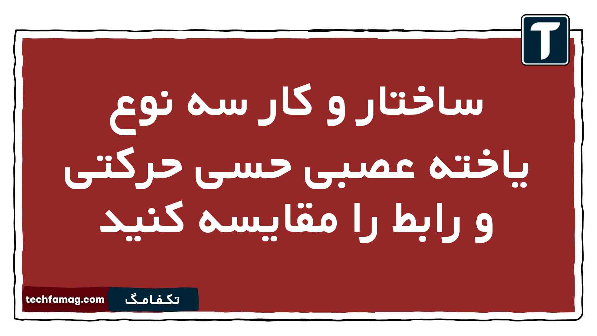 ساختار و کار سه نوع یاخته عصبی حسی حرکتی و رابط را مقایسه کنید زیست یازدهم
