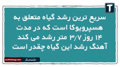 سریع ترین رشد گیاه متعلق به هسپرویوکا است که در مدت ۱۴ روز ۳.۷ متر رشد می کند آهنگ رشد این گیاه چقدر است