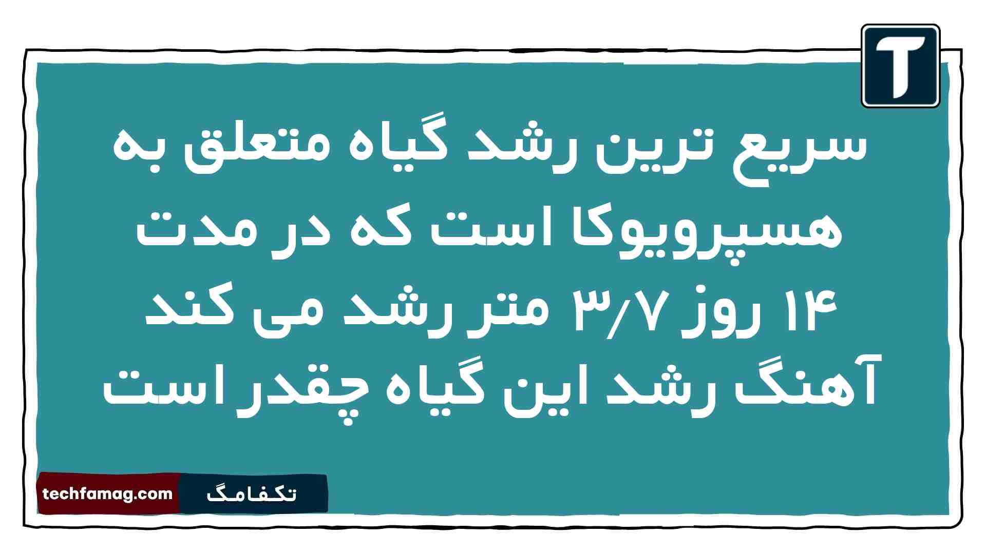 سریع ترین رشد گیاه متعلق به هسپرویوکا است که در مدت ۱۴ روز ۳.۷ متر رشد می کند آهنگ رشد این گیاه چقدر است