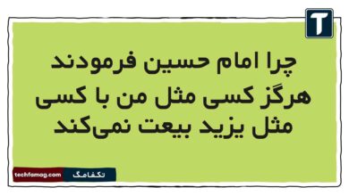 چرا امام حسین فرمودند هرگز کسی مثل من با کسی مثل یزید بیعت نمی‌کند
