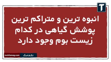 انبوه ترین و متراکم ترین پوشش گیاهی در کدام زیست بوم وجود دارد جغرافیا یازدهم