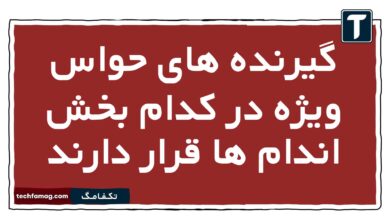 گیرنده های حواس ویژه در کدام بخش اندام ها قرار دارند زیست یازدهم