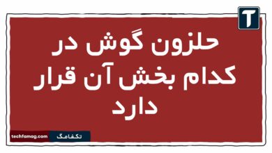 حلزون گوش در کدام بخش آن قرار دارد