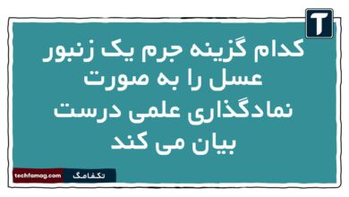کدام گزینه جرم یک زنبور عسل را به صورت نمادگذاری علمی درست بیان می کند