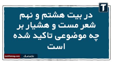 در بیت هشتم و نهم شعر مست و هشیار بر چه موضوعی تاکید شده است