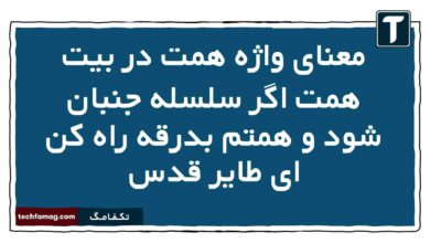 معنای واژه همت در بیت همت اگر سلسله جنبان شود و همتم بدرقه راه کن ای طایر قدس