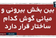 بین بخش بیرونی و میانی گوش کدام ساختار قرار دارد زیست یازدهم