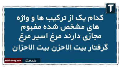 کدام یک از ترکیب ها و واژه های مشخص شده مفهوم مجازی دارند مرغ اسیر مرغ گرفتار بیت الاحزن بیت الاحزان