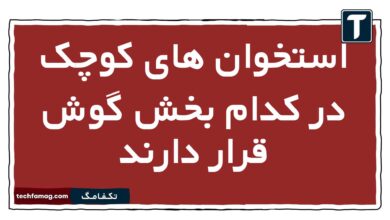 استخوان های کوچک در کدام بخش گوش قرار دارند