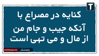 کنایه در مصراع با آنکه جیب و جام من از مال و می تهی است