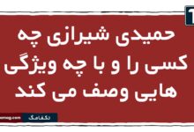 حمیدی شیرازی چه کسی را و با چه ویژگی هایی وصف می کند