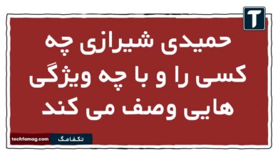 حمیدی شیرازی چه کسی را و با چه ویژگی هایی وصف می کند