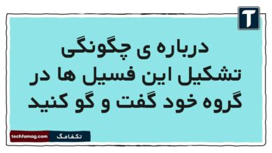 درباره ی چگونگی تشکیل این فسیل ها در گروه خود گفت و گو کنید