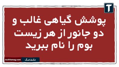 پوشش گیاهی غالب و دو جانور از هر زیست بوم را نام ببرید جغرافیا یازدهم