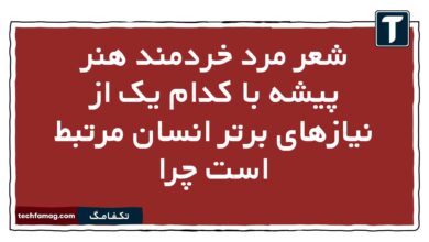 شعر مرد خردمند هنر پیشه با کدام یک از نیازهای برتر انسان مرتبط است چرا