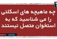 چه ماهیچه های اسکلتی را می شناسید که به استخوان متصل نیستند
