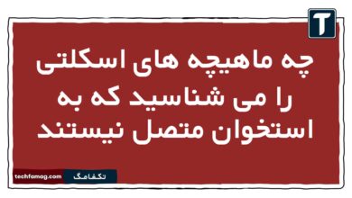 چه ماهیچه های اسکلتی را می شناسید که به استخوان متصل نیستند