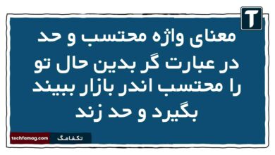 معنای واژه محتسب و حد در عبارت گر بدین حال تو را محتسب اندر بازار ببیند بگیرد و حد زند
