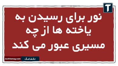 نور برای رسیدن به یاخته ها از چه مسیری عبور می کند