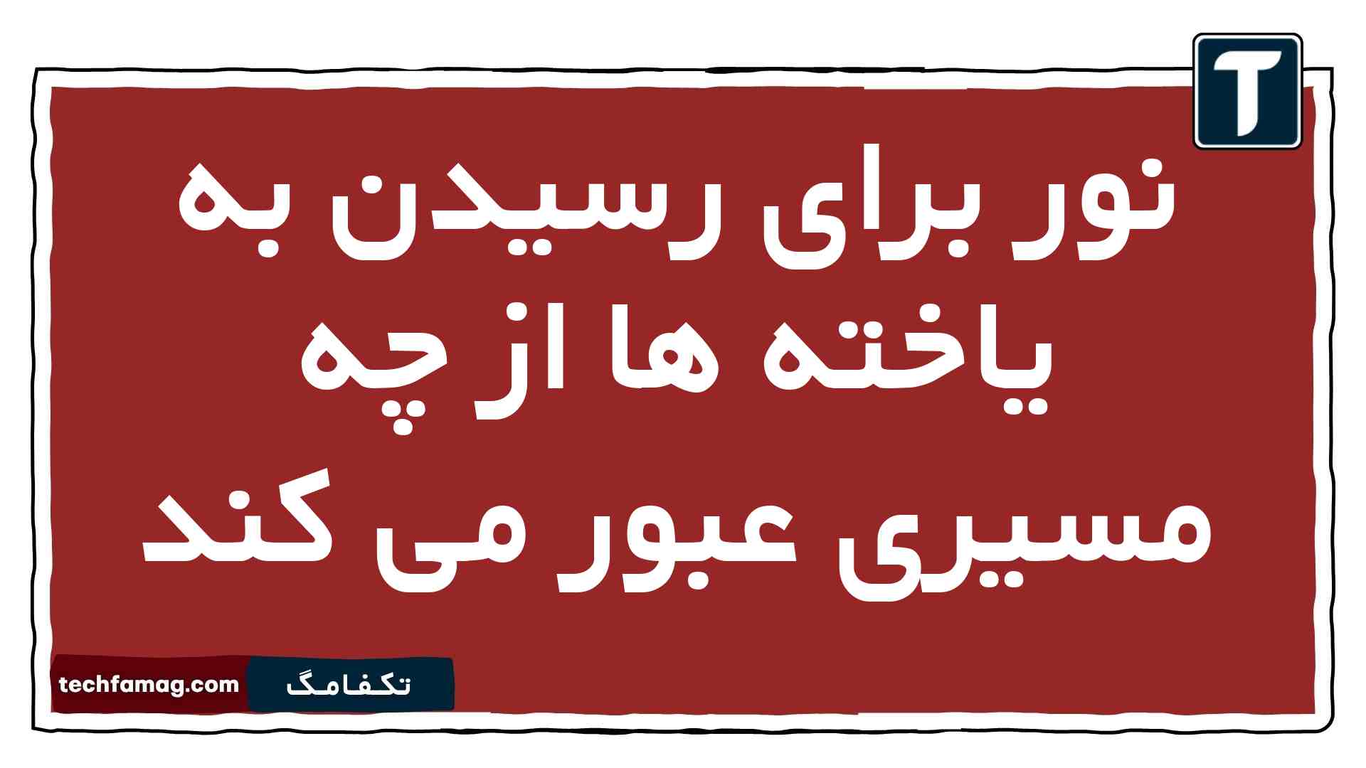 نور برای رسیدن به یاخته ها از چه مسیری عبور می کند