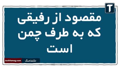مقصود از رفیقی که به طرف چمن است