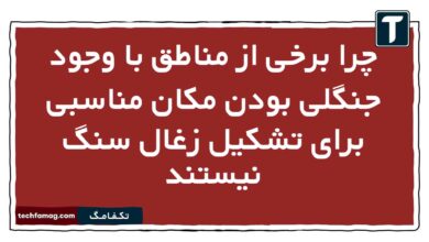 چرا برخی از مناطق با وجود جنگلی بودن مکان مناسبی برای تشکیل زغال سنگ نیستند