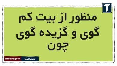 منظور از بیت کم گوی و گزیده گوی چون فارسی ششم