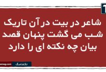 شاعر در بیت در آن تاریک شـب می گشت پنهان قصد بیان چه نکته ای را دارد