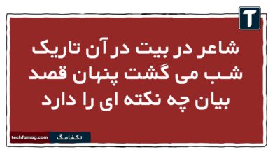 شاعر در بیت در آن تاریک شـب می گشت پنهان قصد بیان چه نکته ای را دارد