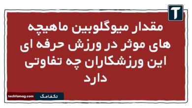 مقدار میوگلوبین ماهیچه های موثر در ورزش حرفه ای این ورزشکاران چه تفاوتی دارد