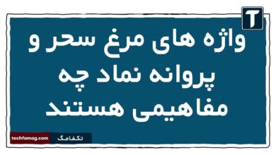 واژه های مرغ سحر و پروانه نماد چه مفاهیمی هستند