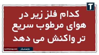 کدام فلز زیر در هوای مرطوب سریع تر واکنش می دهد