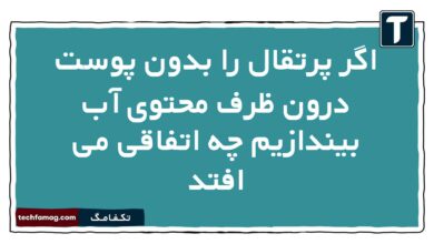 اگر پرتقال را بدون پوست درون ظرف محتوی آب بیندازیم چه اتفاقی می افتد فیزیک دهم