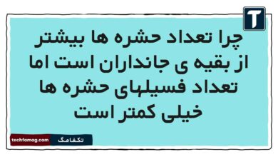 چرا تعداد حشره ها بیشتر از بقیه ی جانداران است اما تعداد فسیلهای حشره ها خیلی کمتر است علوم پنجم