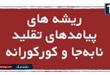 ریشه های پیامدهای تقلید نابه‌جا و کورکورانه