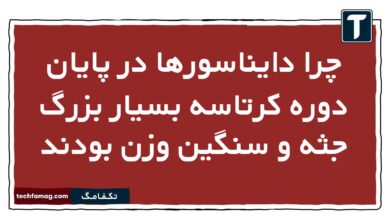 چرا دایناسورها در پایان دوره کرتاسه بسیار بزرگ جثه و سنگین وزن بودند