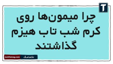 چرا میمون‌ها روی کرم شب تاب هیزم گذاشتند