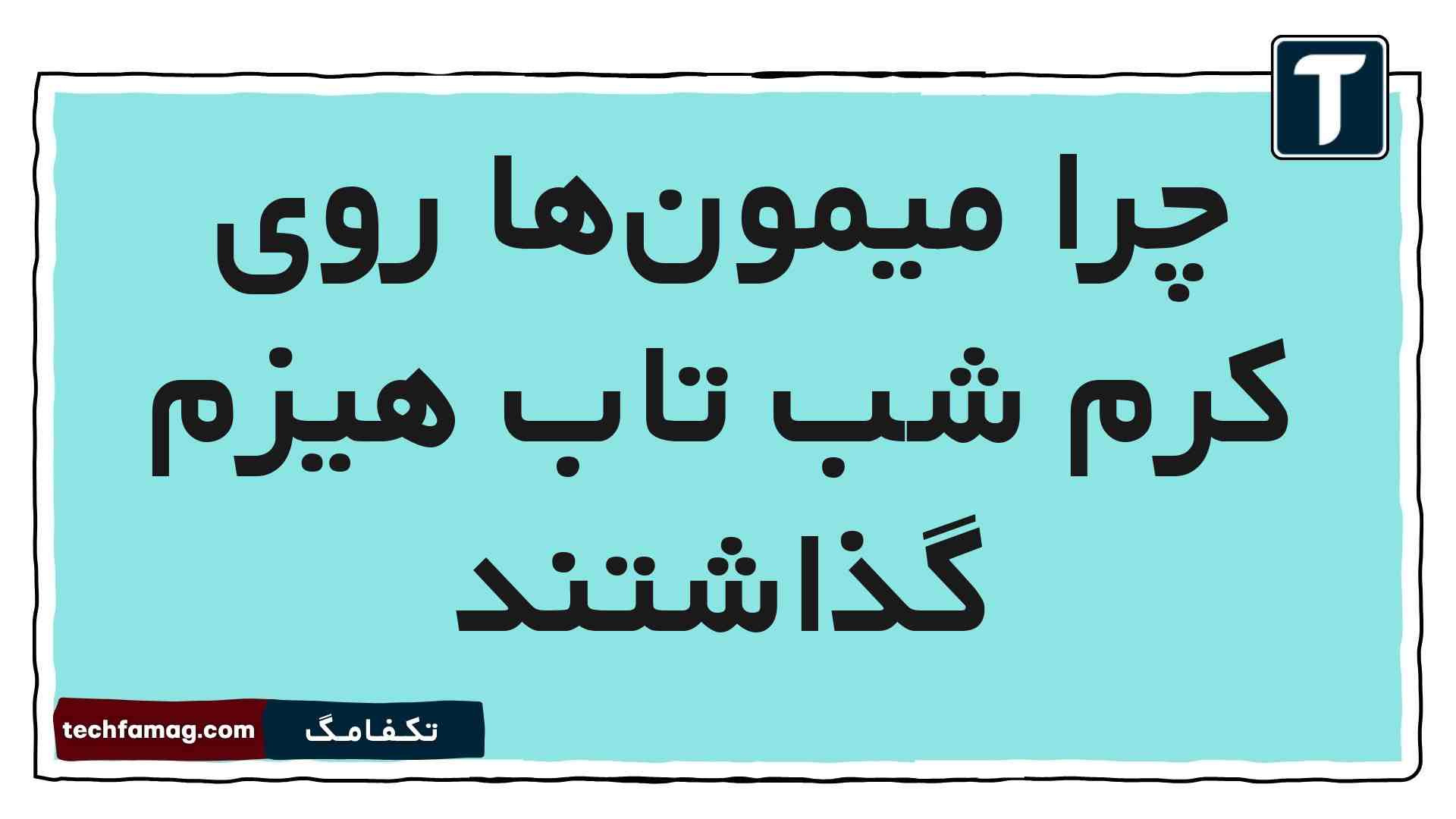 چرا میمون‌ها روی کرم شب تاب هیزم گذاشتند