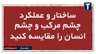 ساختار و عملکرد چشم مرکب و چشم انسان را مقایسه کنید